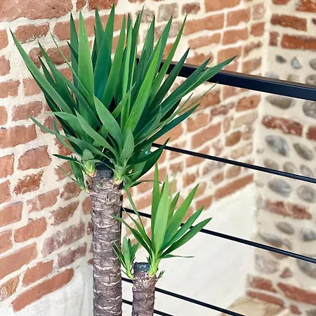 Le Candelier - Centre - Luxe - Terrasse - Clim *