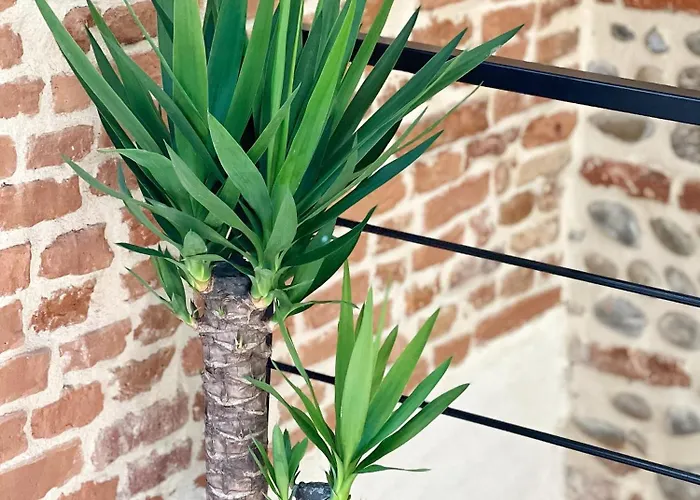 Le Candelier - Centre - Luxe - Terrasse - Clim *