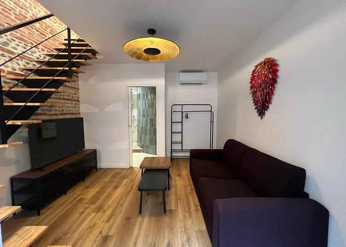 Le Candelier - Centre - Luxe - Terrasse - Clim Apartamento Toulouse